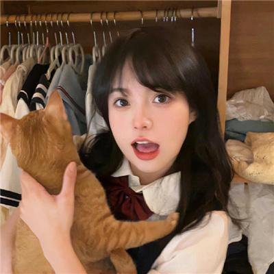 性感都市